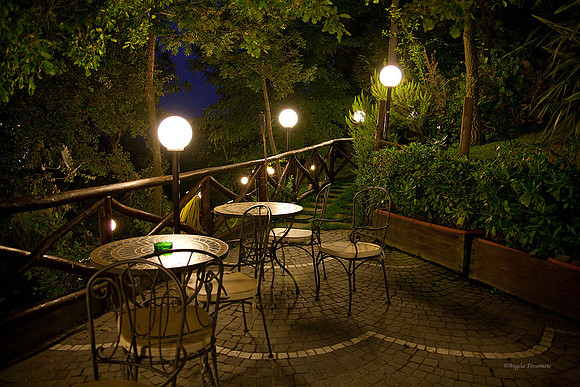 the hotel gardens