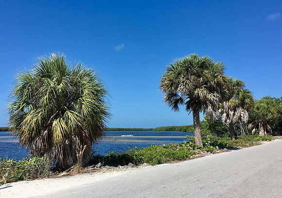 Ding Darling National Wildlife Refuge