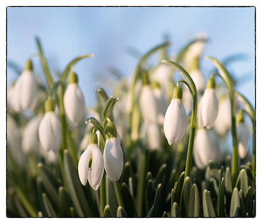 First day of spring!