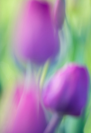 "If I create from the heart, nearly everything works; if from the head, almost nothing." Marc Chagall
