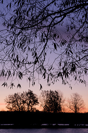 Vitale Park, Lakeville