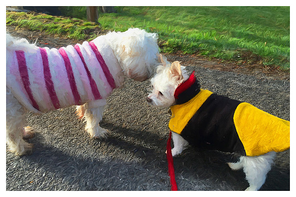"Secrets between friends are the best" - Abby and Bubbles