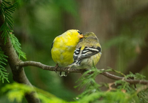 sharing a sweet moment