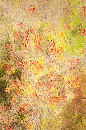 Seurat Spring 7