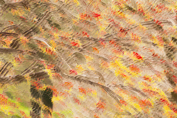 Seurat Spring 9