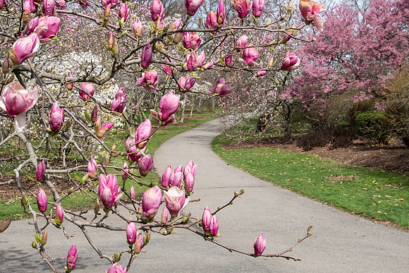 Highland Park, Rochester