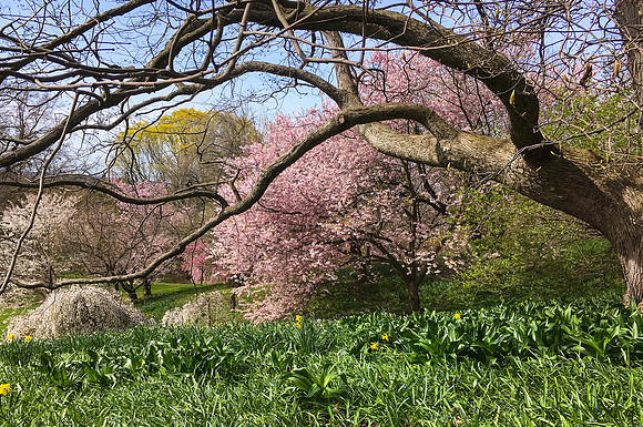 Highland Park, Rochester