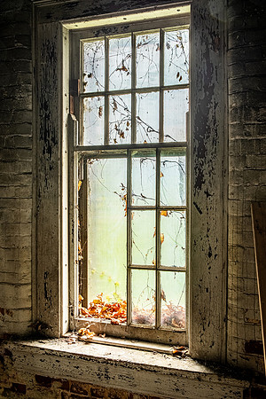 Through  the Window