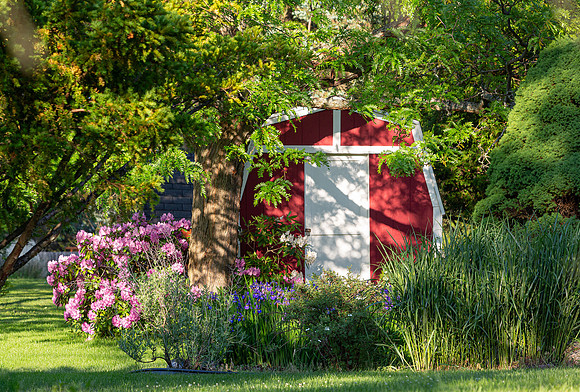 Otto's barn, summer