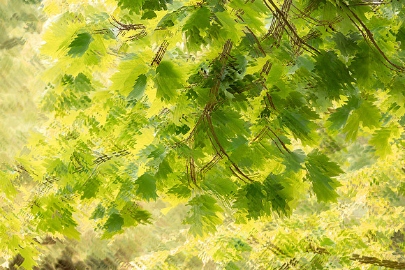 It's easy being green.