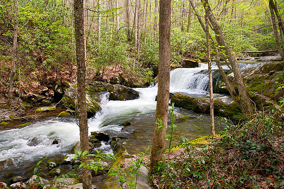 Somewhere in the Great Smoky Mountains National Park