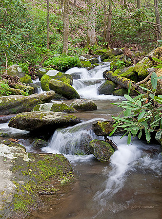 Roaring Fork