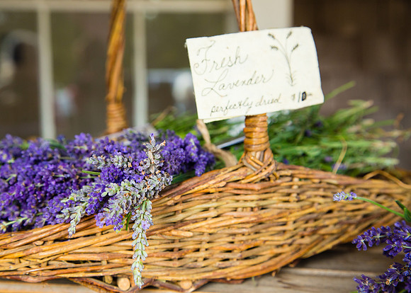I love lavender!