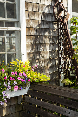 Vineyard Haven