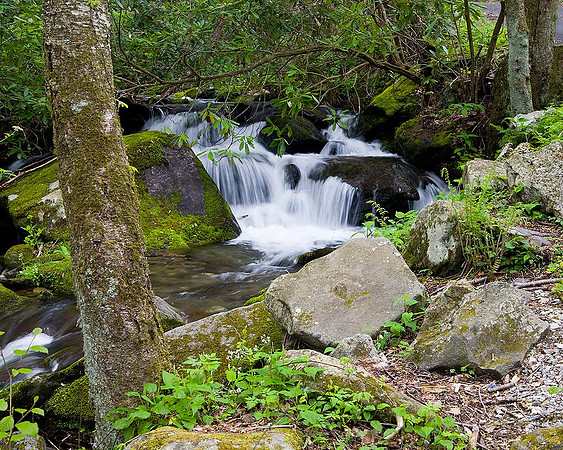 Roaring Fork