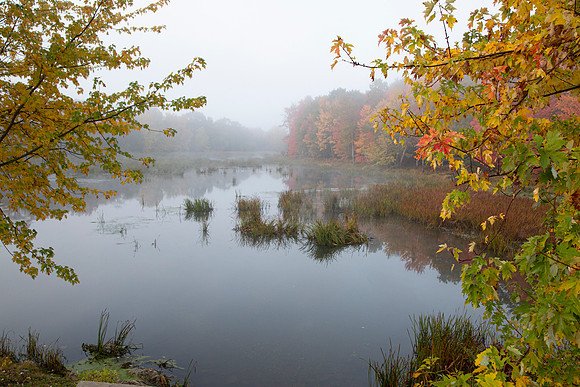 Foggy morning in Hampton, NB