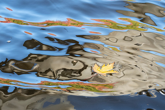 I got fascinated watching the leaf float around the ever changing reflections