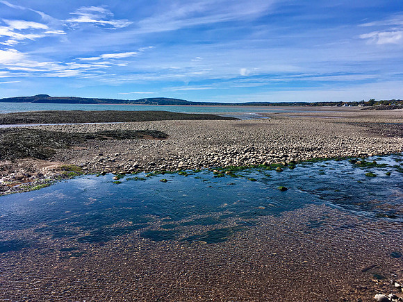 Bay of Fundy at low tide