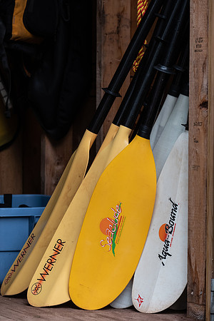 paddles