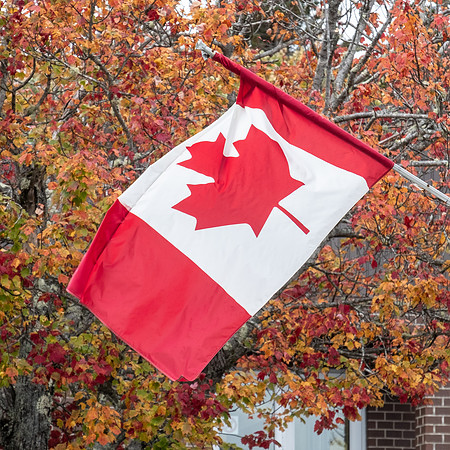 Oh Canada!