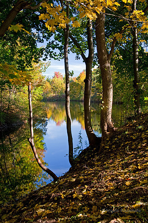 Casey Park, Ontario, NY