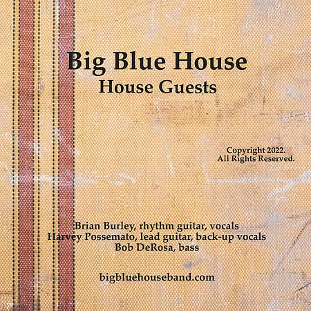 Big Blue House: House Guests inside cover