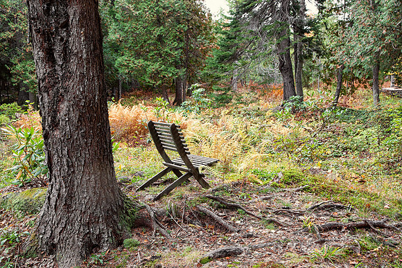 “Even if something is left undone, everyone must take time to sit still and watch the leaves turn.”― Elizabeth Lawrence