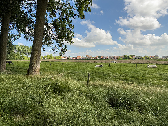 One of the many well-kept dairy farms near Waterland  IMG_6472.jpg