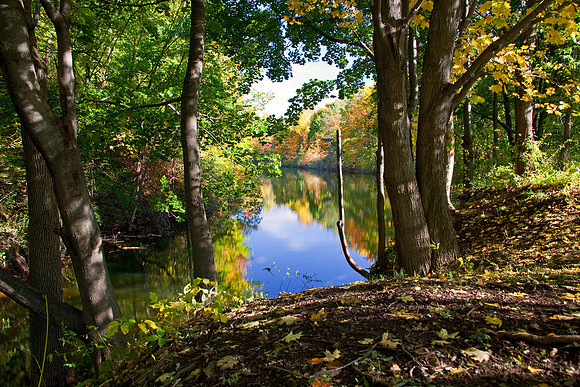 Casey Park, Ontario, NY
