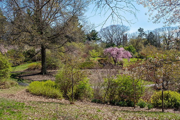 Highland Park, Rochester
