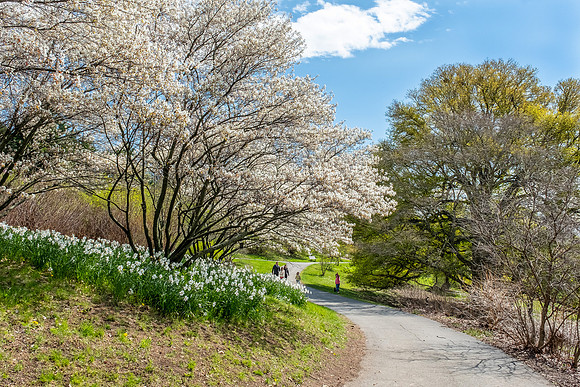Highland Park, Rochester