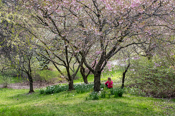 Highland Park, Rochester