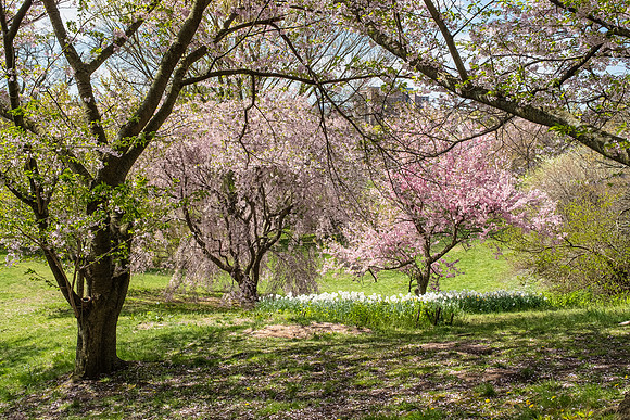 Highland Park, Rochester