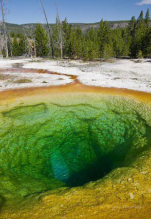 Morning Glory Pool
