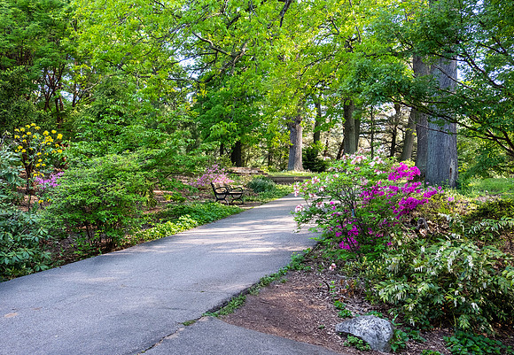 Highland Park, Rochester