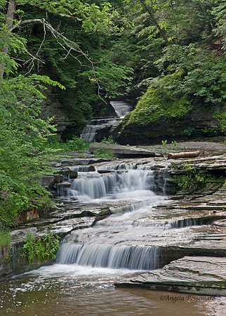 Eagle Falls in Havana Glen, Montour, NY
