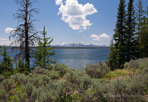 Yellowstone Lake