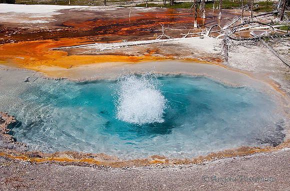 Firehole Spring at Yellowstone.