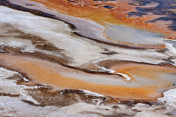 natural patterns 4