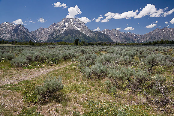 The Grand Tetons seen from the sagebrush flats