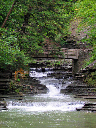 Stony Brook State Park, Dansville, NY