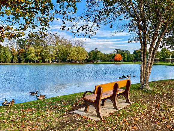 The Crossings, Albany, NY