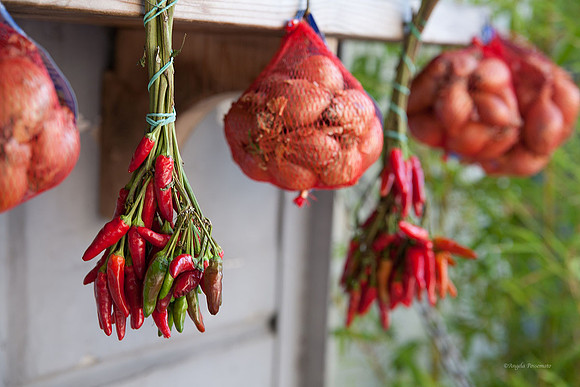 peppers and onions