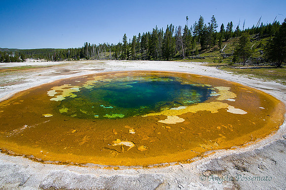 Beauty Pool