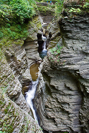Watkins Glen