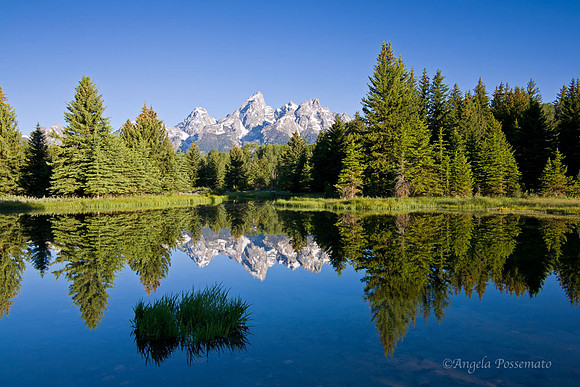 Schwabacher Landing - Grand Teton National Park