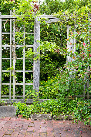 Linwood Gardens