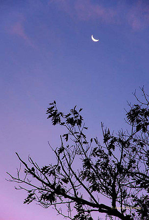 moonset