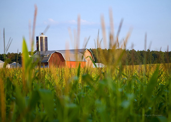 Barn near PennYan