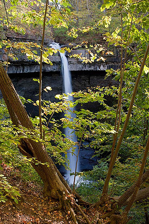 Carpenter Falls